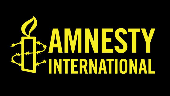 «Ադրբեջանում իրավիճակը սարսափելի է», «Հայաստանում՝ լուրջ առաջընթաց է». Amnesty International