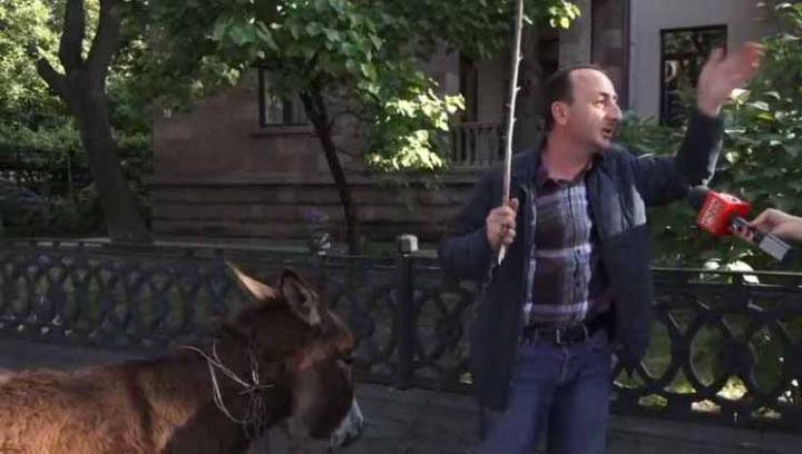 Իրավապահները գործողություններ են իրականացրել Երևանում էշով ակցիայով հայտնի ՀՅԴ-ականի Աչաջրի տանը