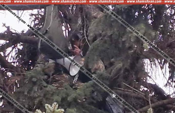 Արտառոց դեպք Գյումրիում․ 34-ամյա տղամարդը բարձրացել է եղևնու ծառի վրա և սպառնում է ինքնասպան լինել