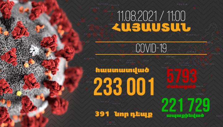 Հայաստանում գրանցվել է կորոնավիրուսի վարակման 391 նոր դեպք, 7 մարդ մահացել է