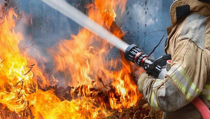​Խոտածածկ տարածքներում մոտ 2000 քմ տարածք է այրվել