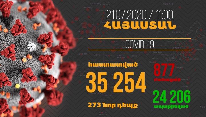 Հայաստանում հաստատվել է կորոնավիրուսի 273 նոր դեպք, մահվան՝ 18