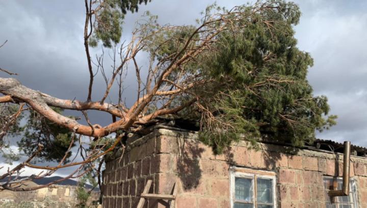Լոռու մարզի ճանապարհներին տանիքներ են վնասվել, ծառեր են կոտրվել ու ընկել