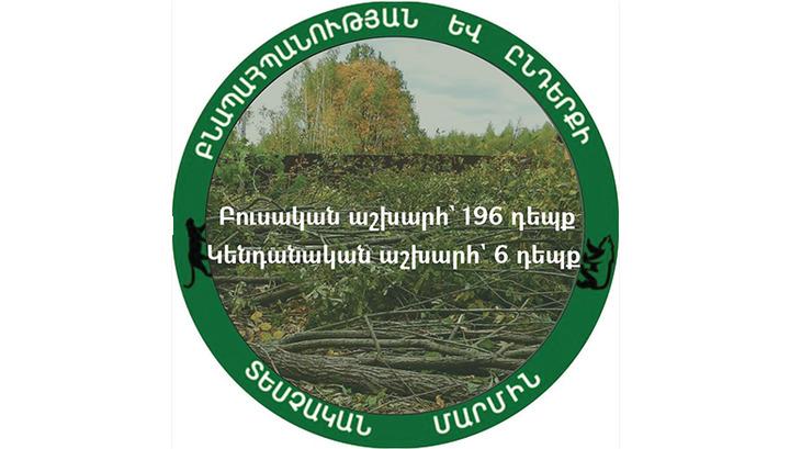 148.7 մլն դրամի վնաս՝ Հայաստանի շրջակա միջավայրին