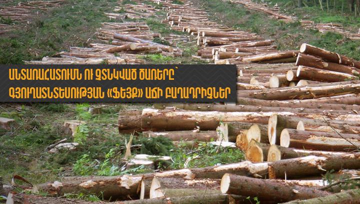 Անտառահատումն ու չտնկված ծառերը` գյուղատնտեսության «ֆեյք» աճի բաղադրիչներ