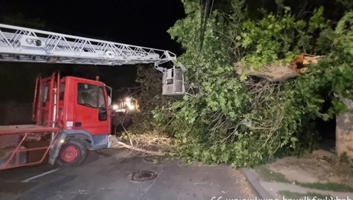 Երևանում քամու հետևանքով կոտրվել են ծառեր, վնասվել շինություններ, մեքենաներ