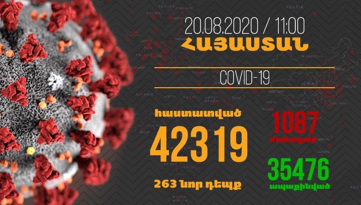Հայաստանում մեկ օրում գրանցվել է կորոնավիրուսի 263 նոր դեպք, մահվան՝ 5