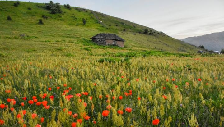 Առաջիկա օրերին օդի ջերմաստիճանը կբարձրանա 3-4 աստիճանով