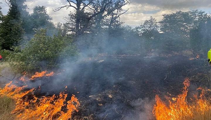 Բուսաբանական այգում այրվել է 600 քմ բուսածածկույթ