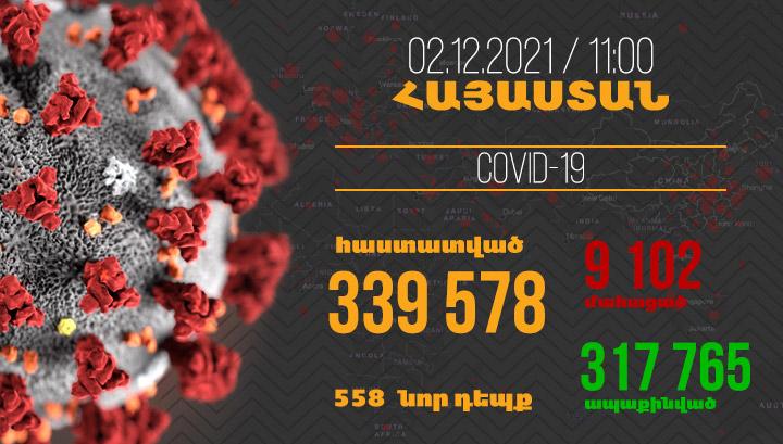 Հայաստանում հաստատվել է կորոնավիրուսով վարակվելու 558, մահվան՝ 24 նոր դեպք