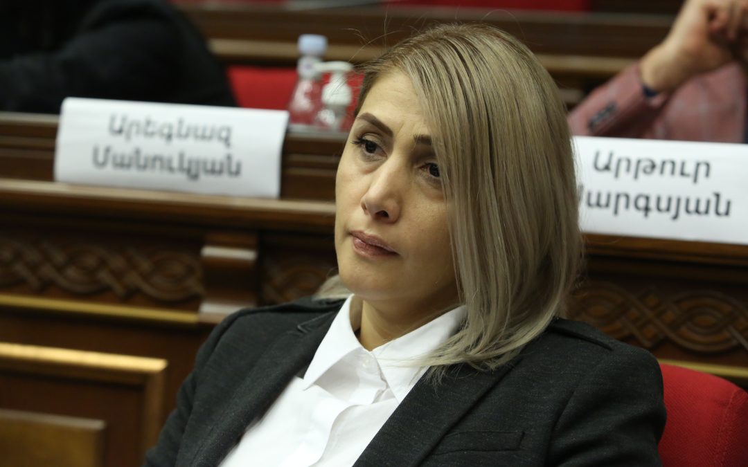 Սա սովորական ուղղորդված ֆաշիզմ է․ Էլինար Վարդանյան