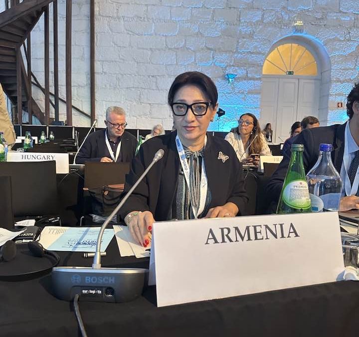 Ամենացավալին այն է, երբ այլ երկրների պատվիրակներ քեզ հարցնում են, ինչո՞ւ ձեր պատվիրակությունը չի միացել նախաձեռնությանը․․․ պատգամավոր