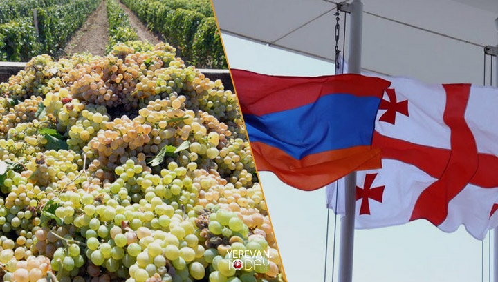 Վրաստանը մինչև 1100 դրամ սուբսիդիա է տրամադրում խաղողի մթերման համար, Հայաստանը՝ 30-50 դրամ