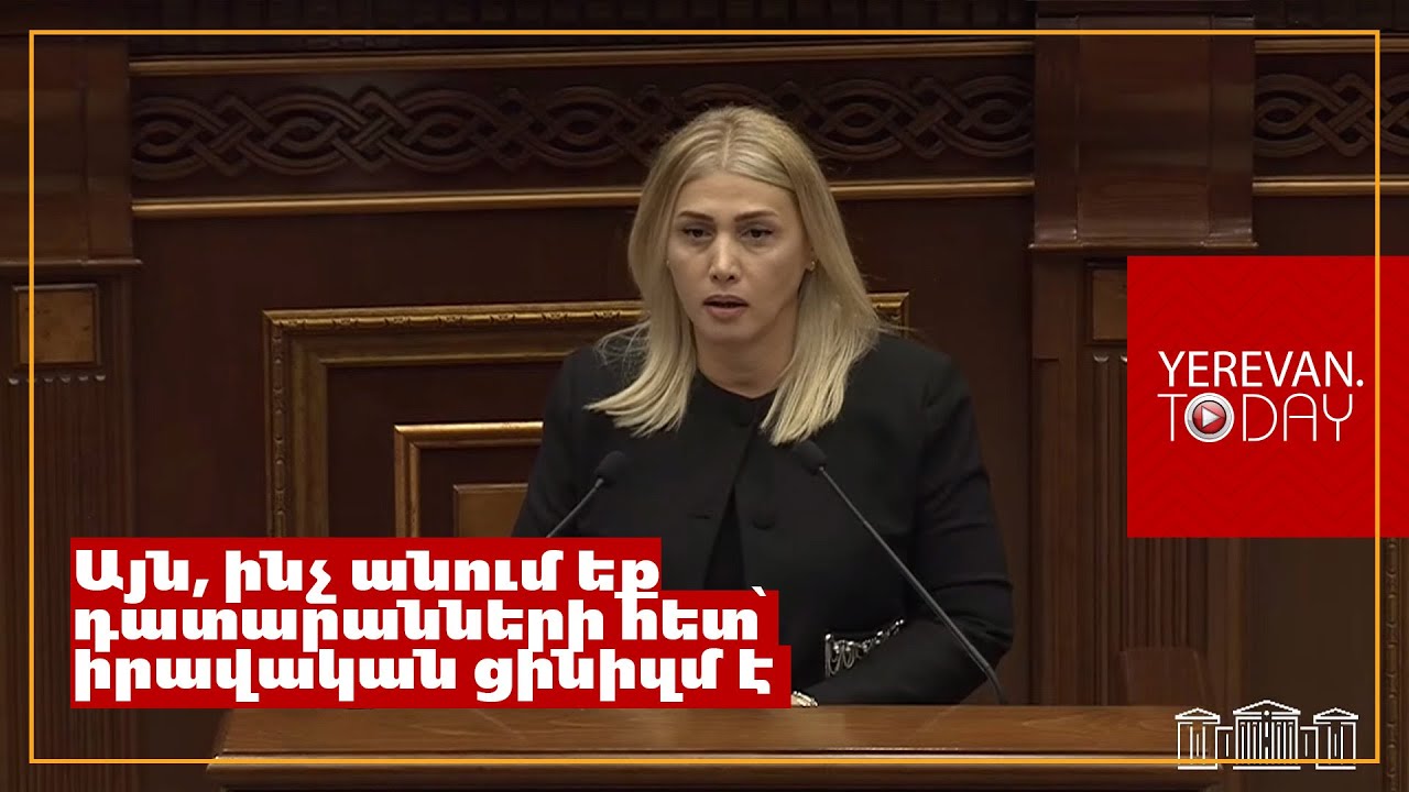 Կալանքը մեր երկրում արդեն միայն պատժիչ գործիք չէ, դա մահվան գործիք է․ Էլինար Վարդանյան