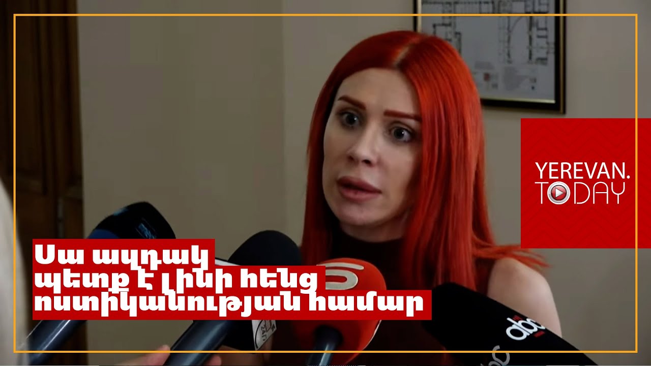 Քաղաքացիները՝ տեսնելով, որ այլ դեպքեր չեն բացահայտվում, պարզապես խուսափում են քաշքշուկի մեջ ընկնելուց․ Խամոյան