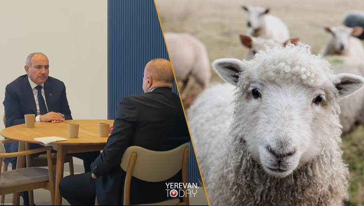 Փաշինյանը ոչխար առ ոչխար վերադարձրել է Ադրբեջանին