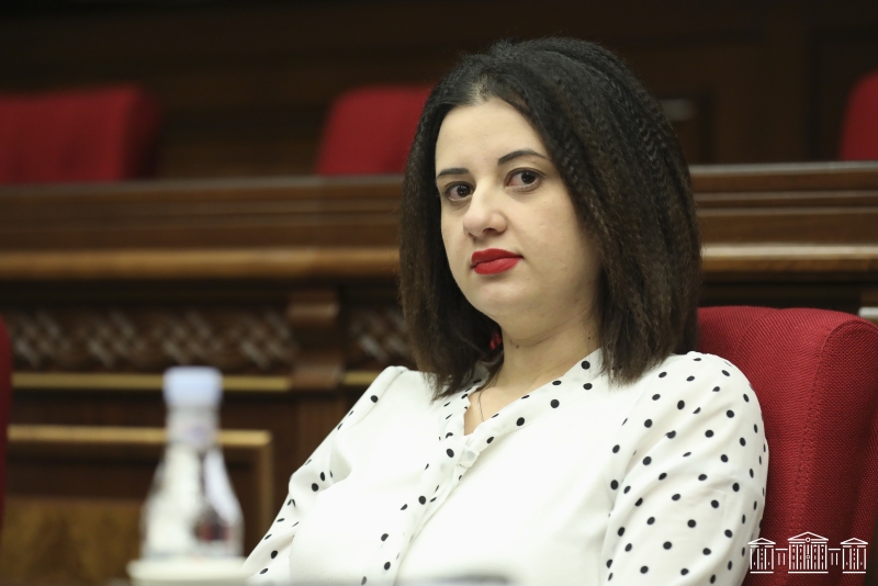 ՔՊ-ական Էմմա Պալյանը մեկ հայտարարագրում 3 սխալ է թույլ տվել. «Ժողովուրդ»