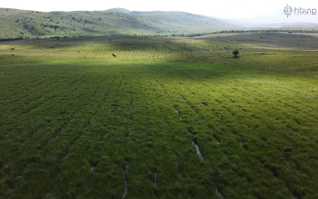 Անտառներ՝ թղթի վրա․ ինչպես փոշիացնել գումարները․ «Հետք»