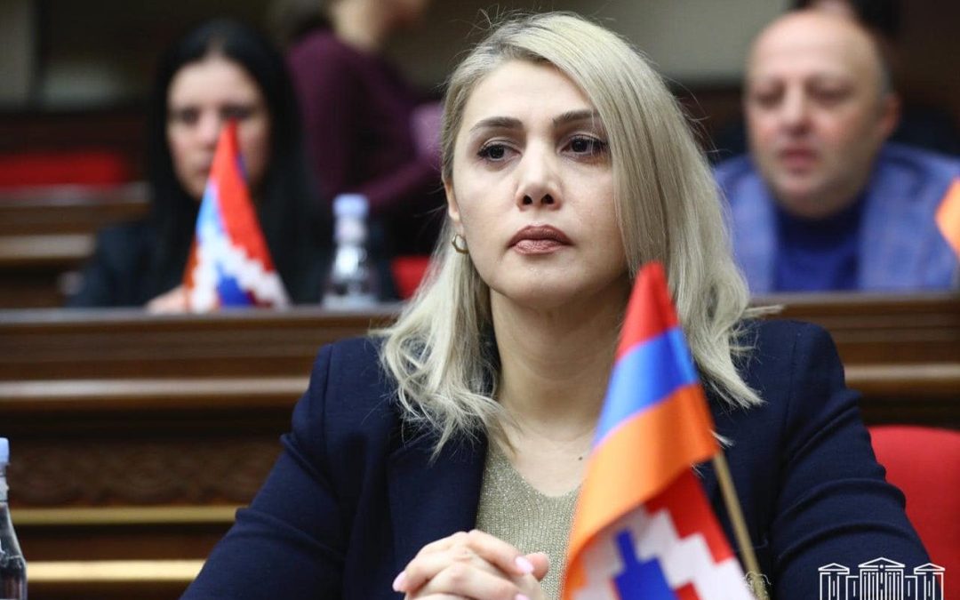 60-ից ավելի ՀՀ քաղաքացիներ հետապնդվում են սեփական հայացքների համար. Էլինար Վարդանյան