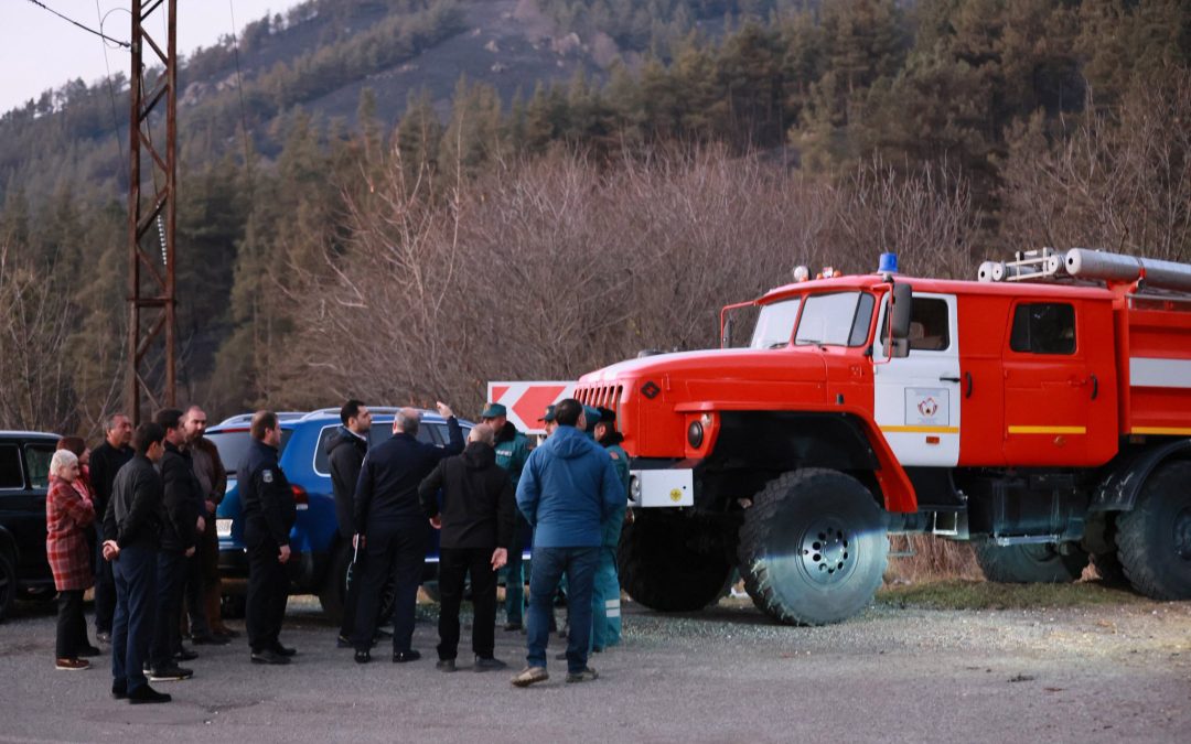Անտառային հրդեհների հետևանքով բազմաթիվ վայրի կենդանիներ լքել են իրենց բնական միջավայրը