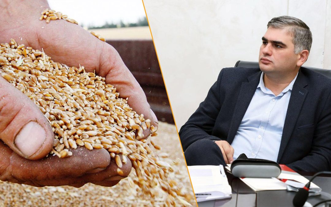 Մտքովս չէր անցնի, որ 4-րդ կարգի որակի ցորենի ներկրումը գործող իշխանությունները կփորձեն ներկայացնել հացի գնի էժանացման միջոց. տնտեսագետ