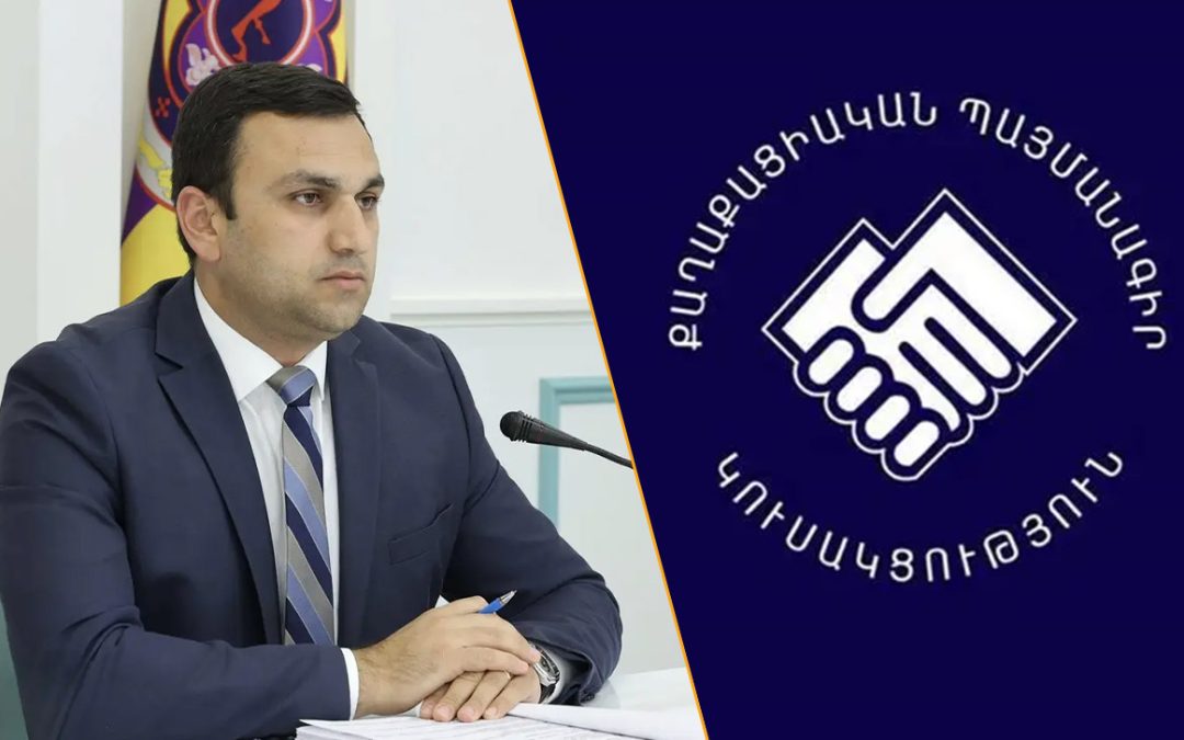 Մեխակյանի վարկանիշը բարձրացնելու նպատակով իշխանությունները որոշել են «փիղ ծնել». Տաթևիկ Վիրաբյան