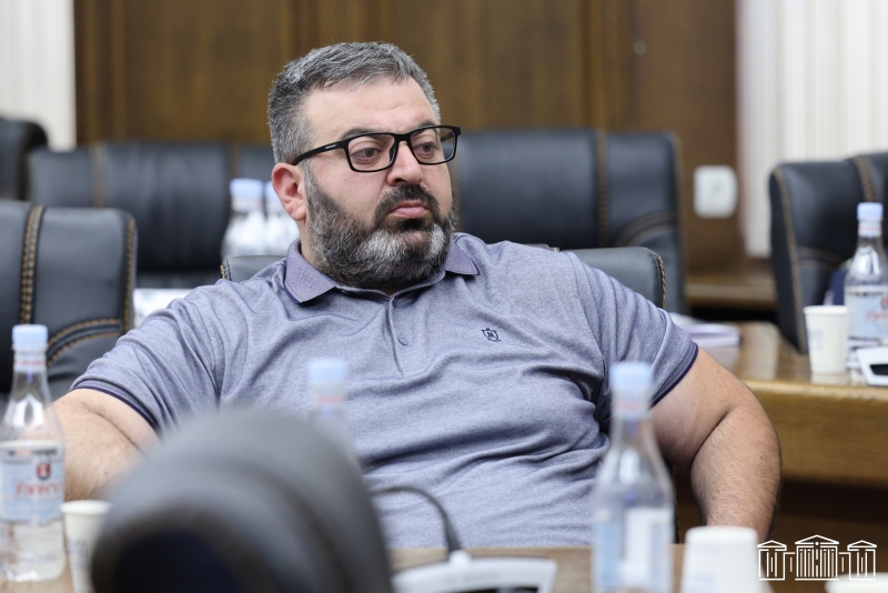 Օրվա իշխանությունների անպատասխանատու քայլերի պատճառով լարվում են հայ-վրացական հարաբերությունները. պատգամավոր