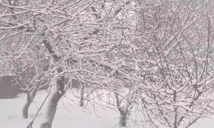 Գյումրիում բուք է. Սուրենյան