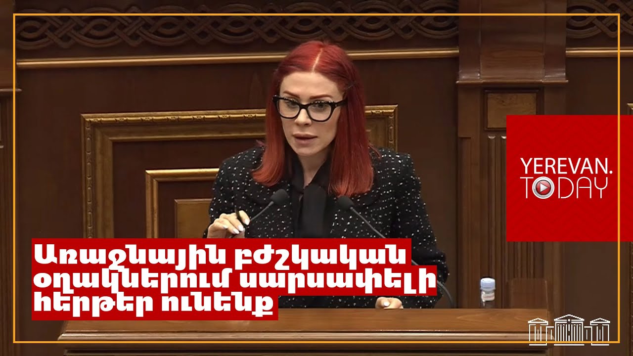 Մի կողմից ասում եք՝ հեղափոխական մոտեցում է, մյուս կողմից էլ ասում եք՝ ձրի ոչինչ չկա․ Ագնեսա Խամոյան