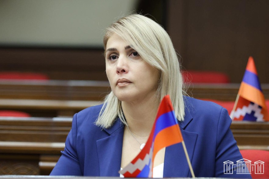 Կառավարման էությունը՝ ներքին թշնամանք․ Էլինար Վարդանյան