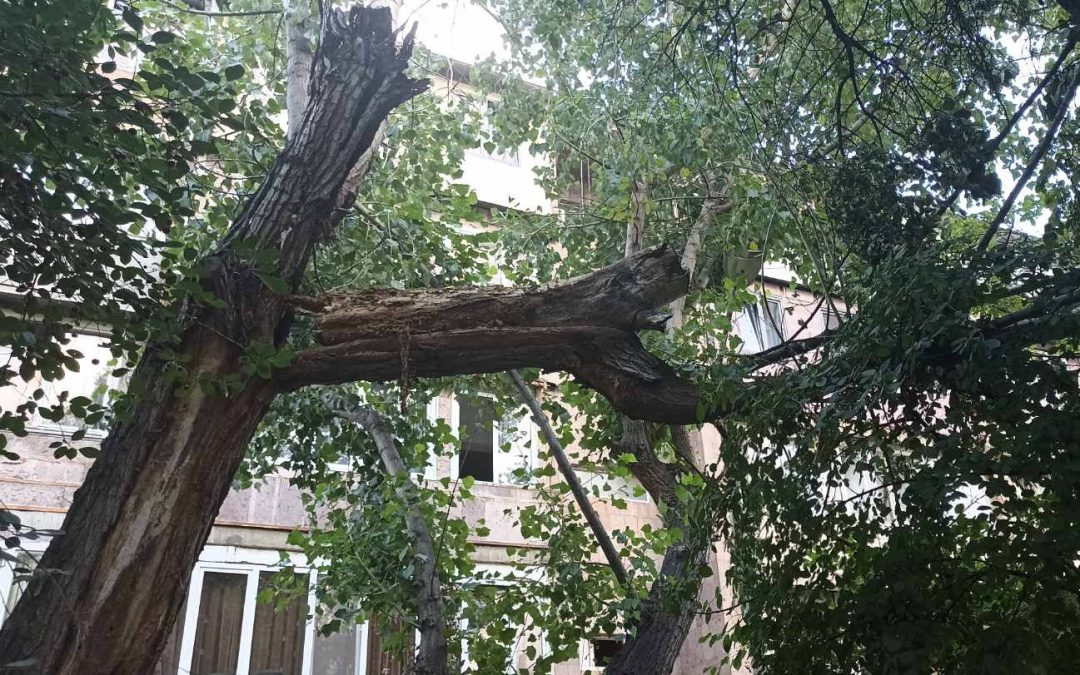 Սպասվում է քամու ուժգնացում
