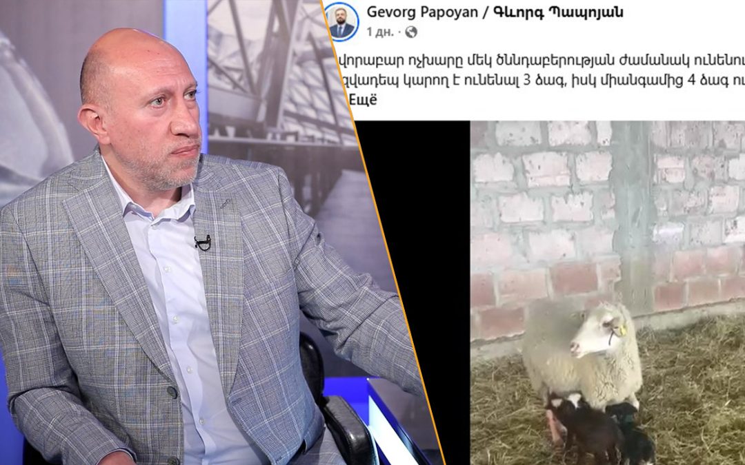Լավ կանեն՝ ոչխարի չորս ձագերի փոխարեն, հանրությանը ներկայացնեն թեկուզ չորս արտաքին ներդրումային տպավորիչ օրինակ. Բադալյան