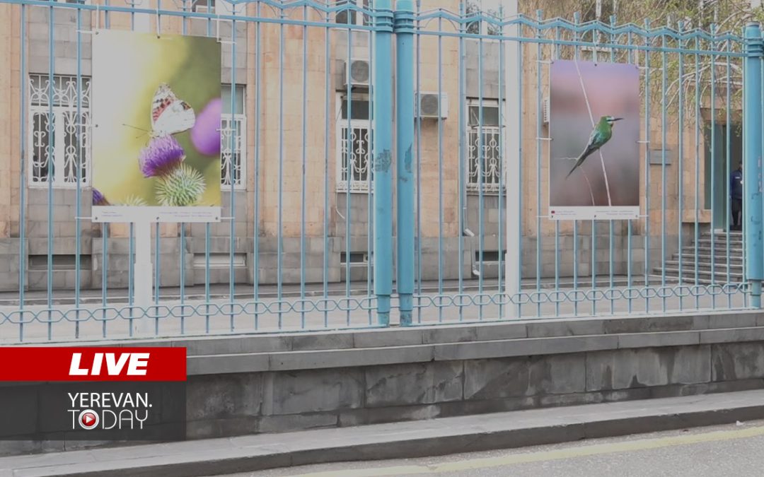 ԱՅՍ ՊԱՀԻՆ | ՈւՂԻՂ | Դպրոցական կալանավորի հարազատների և դասընկերների ակցիան