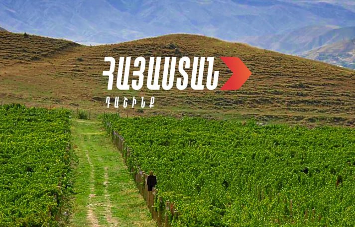 Տաքսու վարորդների և գյուղացիական տնտեսությամբ զբաղվողների գործունեությունը կհամարվի աշխատանքային ստաժ
