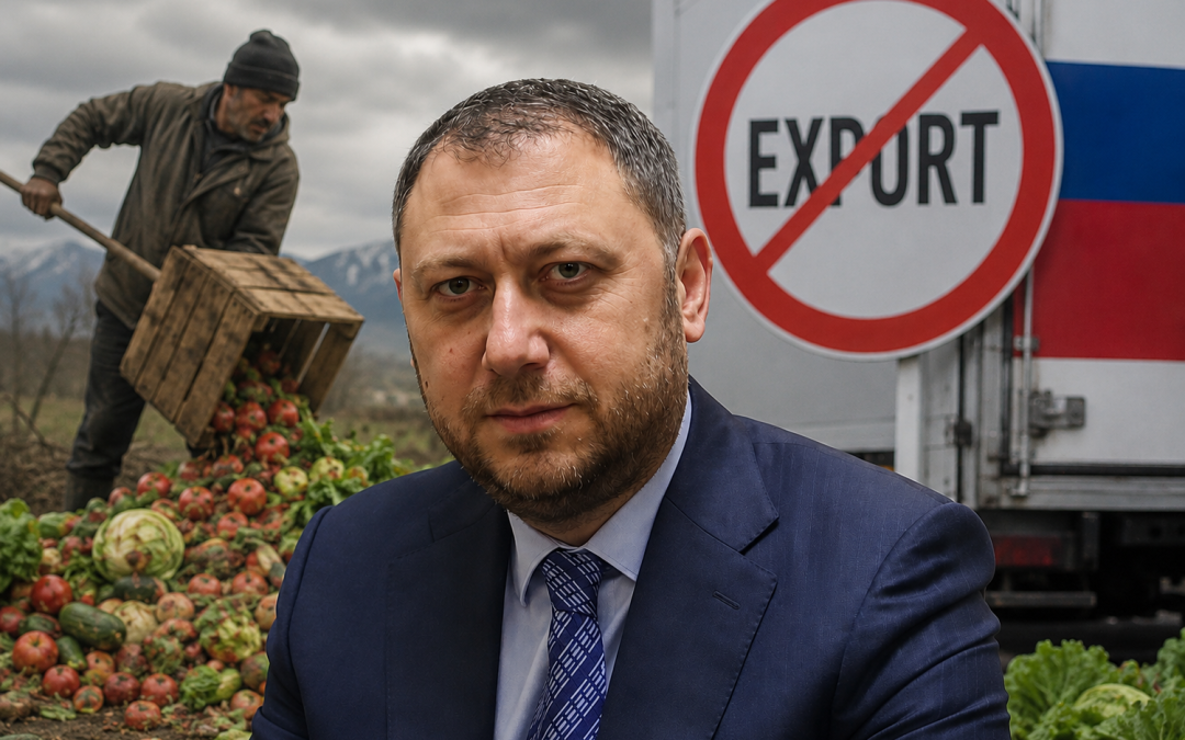 Եթե այսօր հինգ ֆուռ ապրանք արտահանվի Ֆրանսիա, դա դեռ չի նշանակում, որ մենք արտահանումը դիվերսիֆիկացրել ենք․ Ֆարմանյան