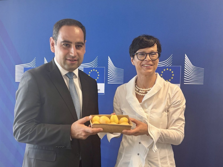 Եվրամիություն է հասել 7 հատ ծիրան