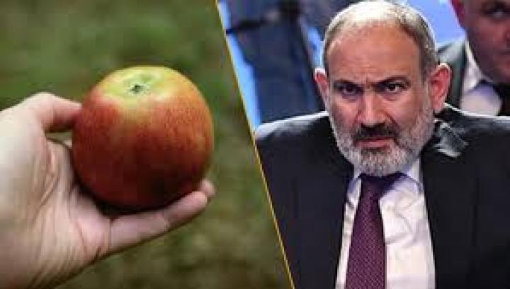 Դատախազության բողոքը մերժվեց, Փաշինյանի վրա խնձոր նետելու գործը փակվեց