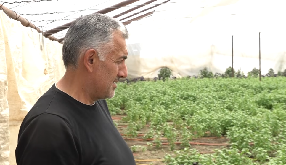 50 կգ ռեհանի զակազ կար, զանգեցին, ասեցին՝ չքաղե՛ս, Մոսկվան փակել է․ հայկաշենցի