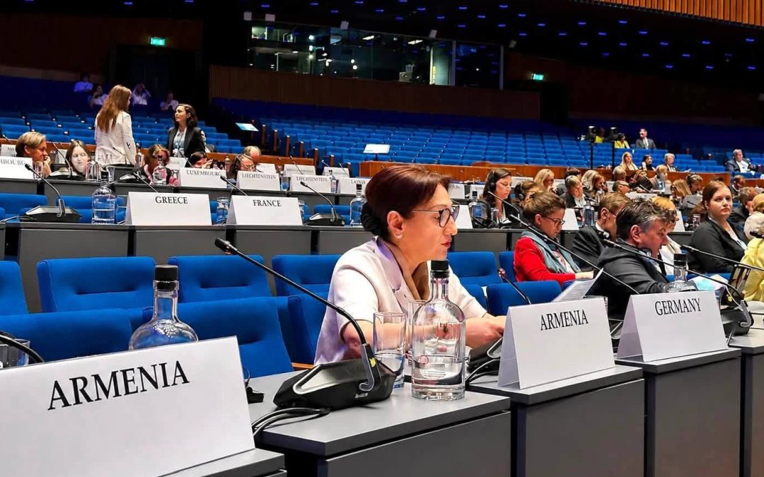 Միջազգային իրավունքը սակարկության առարկա չէ. Լիլիթ Գալստյան