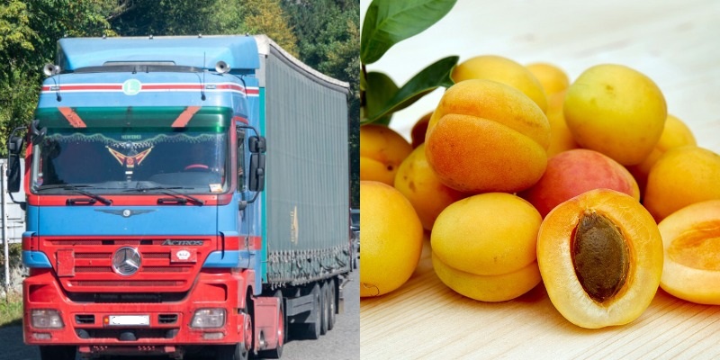 Իսպանիա հասած հայկական ծիրանի ամբողջ խմբաքանակը փչացել է
