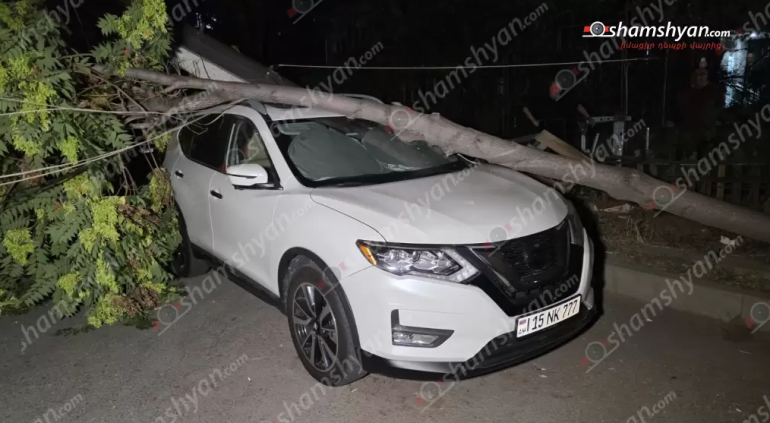 Ծառն ընկել է կայանված «Nissan Rouge»–ի վրա