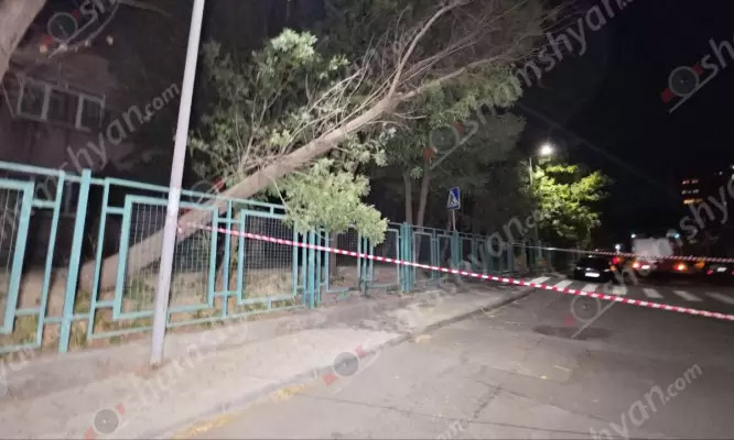 Երևանի թիվ 60 մանկապարտեզի տարածքում քամու հետևանքով ծառ է կոտրվել․ տուժածներ չկան