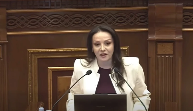 Եթե ճգնաժամային վիճակում չենք, ինչո՞ւ է պետական պարտքն անշեղորեն աճում. Լիանա Մանուկյան