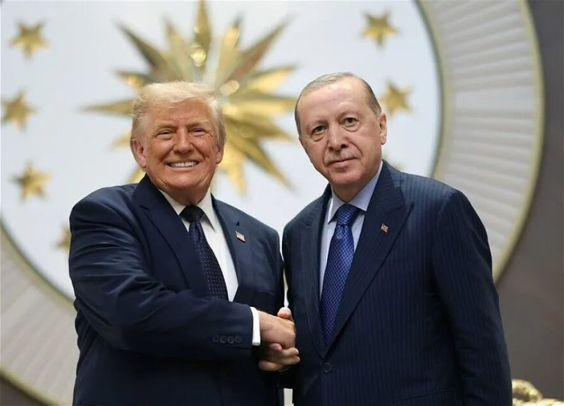 Эрдоган и Трамп поговорили по телефону