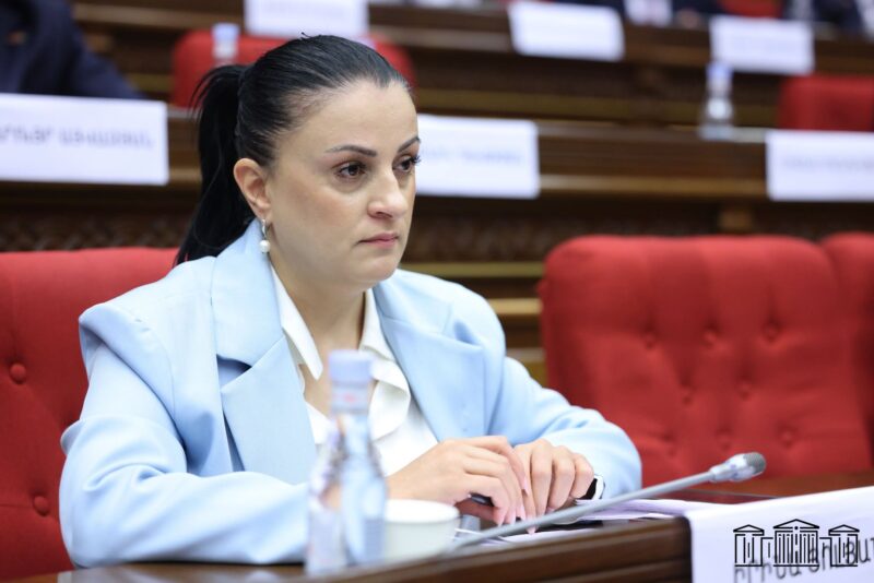 50 տարի անկողնուն գամված առաջին կարգի հաշմանդամ կնոջը պետությունը «բարեկեցիկ» է ճանաչել. Իրինա Յոլյան
