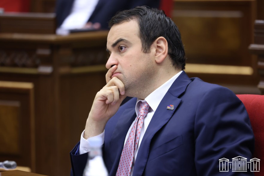 Հիմա խելքի գալու խորդուբորդ ճանապարհին ենք․ Նարեկ Կարապետյան