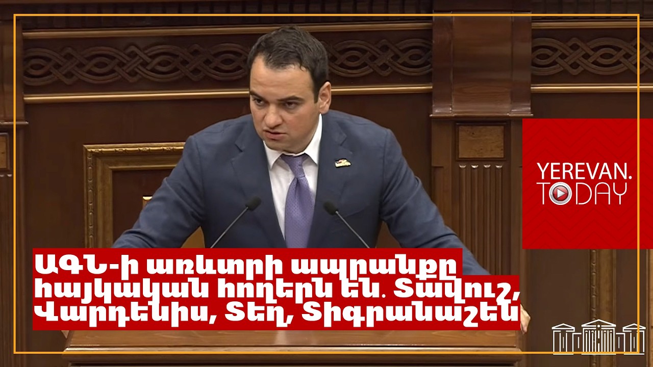 ԵԱՏՄ-ն խանդում է, մենք ասում ենք՝ «мы просто друзья»․ Նարեկ Կարապետյան