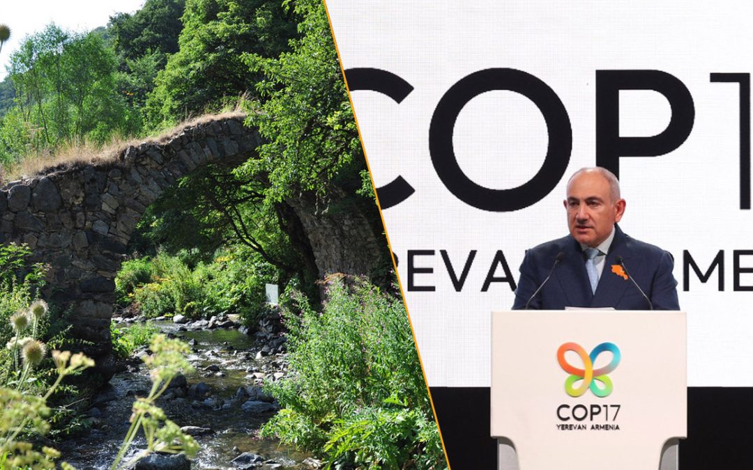 Ադրբեջանցիները մեր անտառները ոչնչացնում են, Փաշինյանը խոսում է 90-ականների վառելափայտից