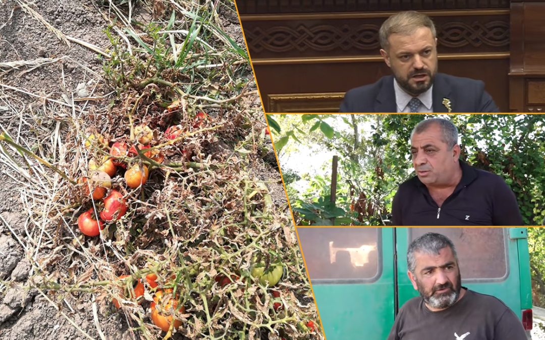 Պապոյանի սուտը բացահայտվեց երկու օրում