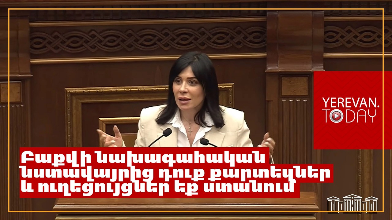 Բարեկամական խորհուրդս պարոն Սարգսյանին, ավելի լավ ա՝ կոկորդիլոսներով զբաղվիր․ Ագնեսա Խամոյան